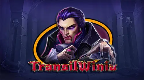 TransilWinia - Spin City - Congo